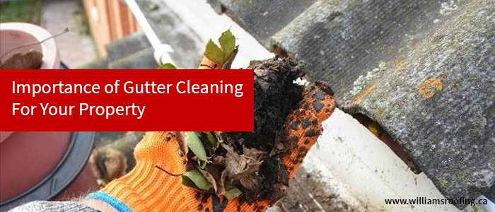 Importance of Gutter Cleaning For Your Property